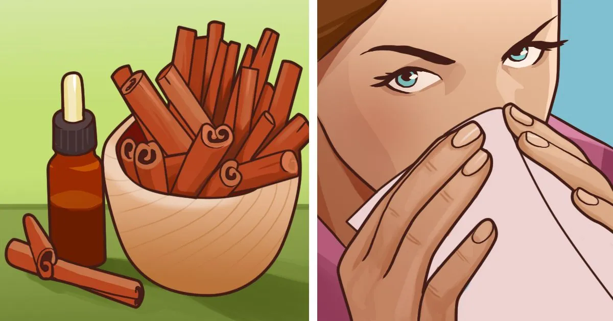 7 ätherische Öle, die bakterielle Infektionen bekämpfen