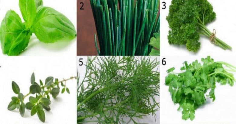 Diese Kräuter wirken bei Entzündungen bis hin zu Schlaflosigkeit!